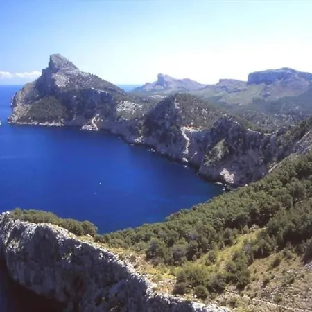 Cuixach In With Wifi *