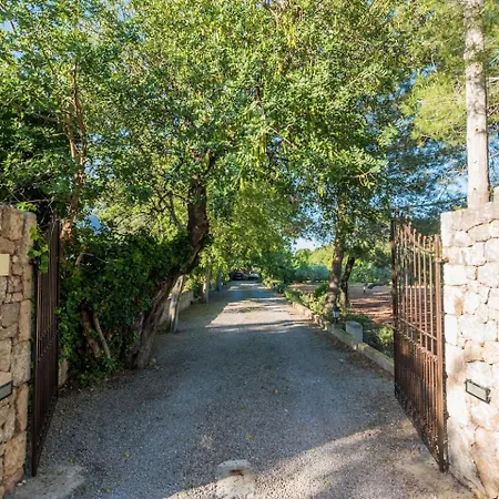 Cuixach In With Wifi *