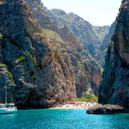 Cuixach In With Wifi *