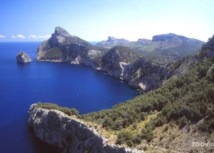 Cuixach In With Wifi *