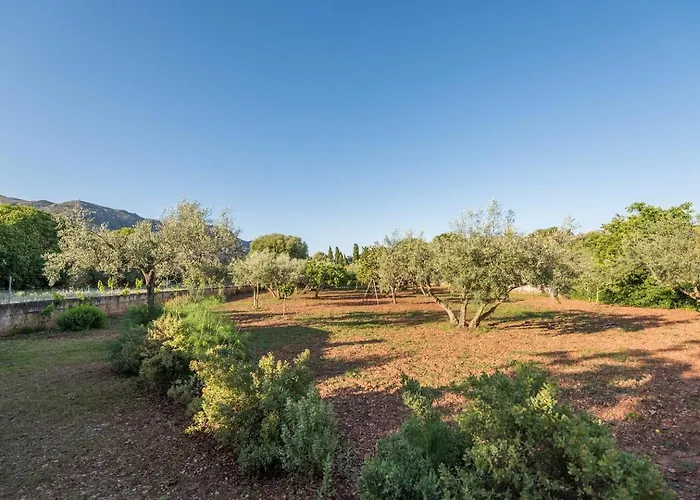 Cuixach In With Wifi Villa Pollenca