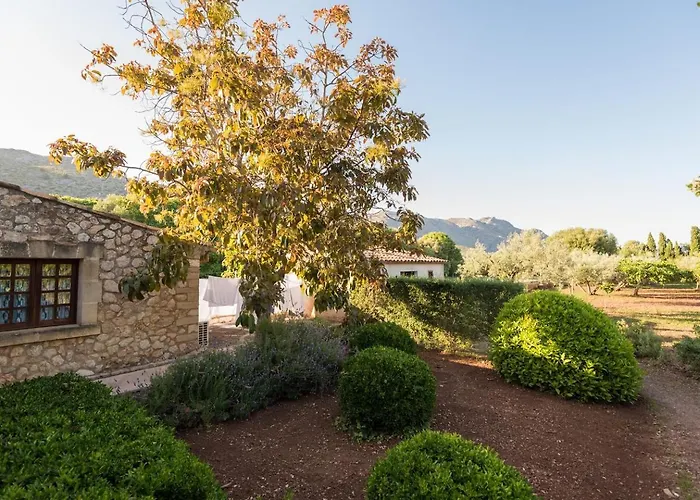 Cuixach In With Wifi Pollenca