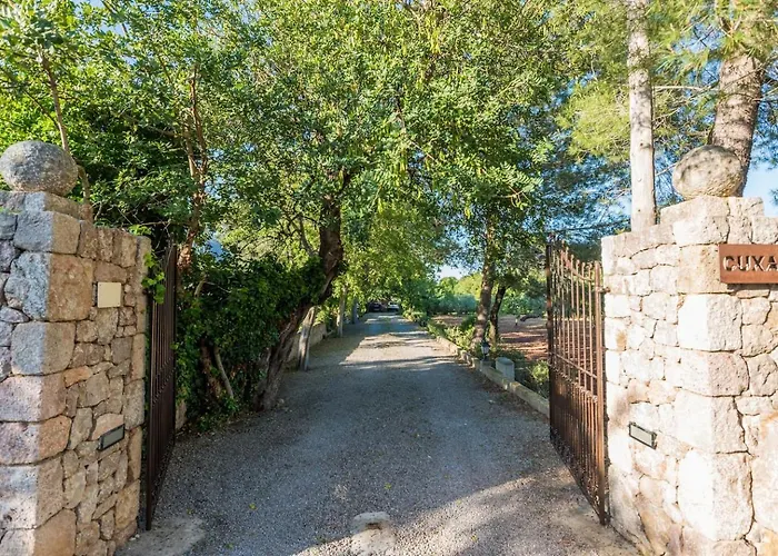 Cuixach In With Wifi *