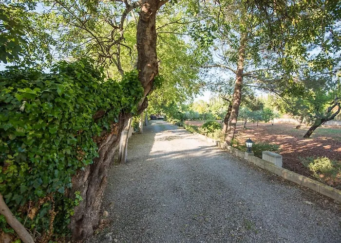 Cuixach In With Wifi