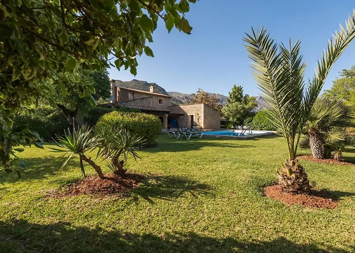 Cuixach In With Wifi