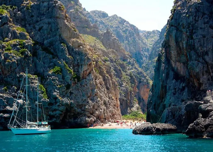 Cuixach In With Wifi *